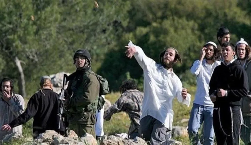 مستعمرون يعتدون على قاطفي الزيتون في بورين جنوب نابلس